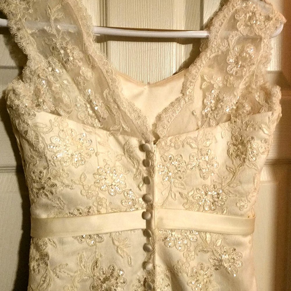 Champagne Wedding Dress - Picture 4 of 9